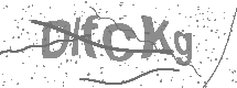visual captcha